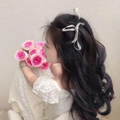 案中案海报